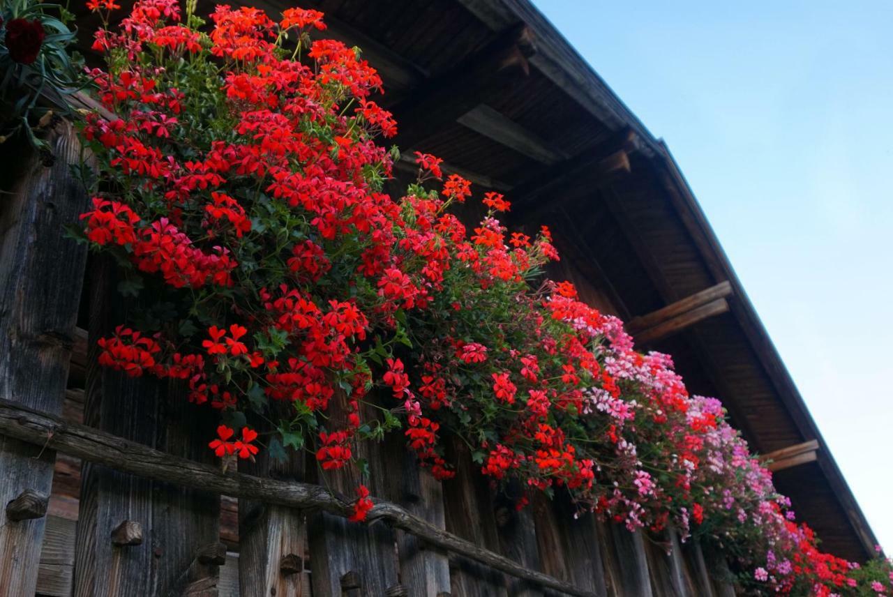 Gut Roemerhof Apartamento Altenmarkt im Pongau Exterior foto